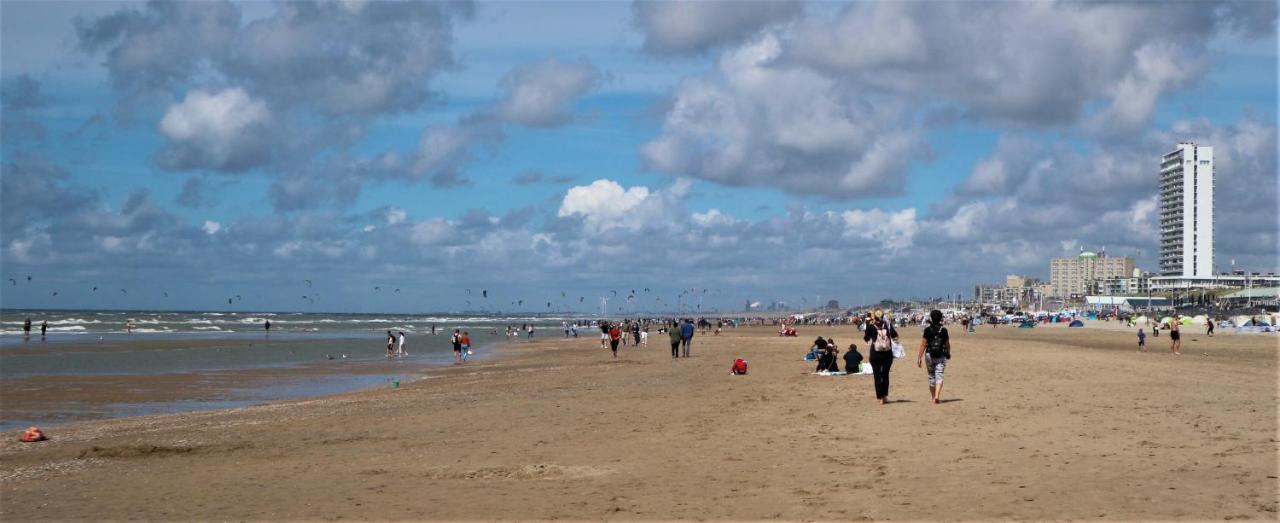 Sea Zandvoort